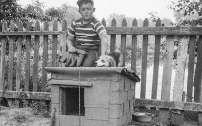 Doghouses – Then and Now