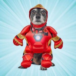 Marvel Avengers Iron Man Light Up Illusion Suit Dog Costume.