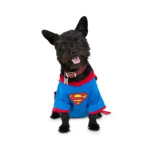 DC Comics Justice League Superman Dog T-Shirt with Removable Cape.