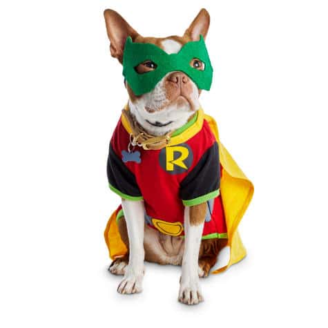 Robin Dog Costume - DogHouse and Garden™