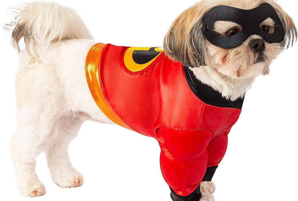 6 Fun Superhero Costumes for Your Dogs