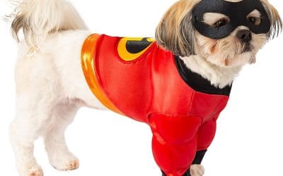 6 Fun Superhero Costumes for Your Dogs