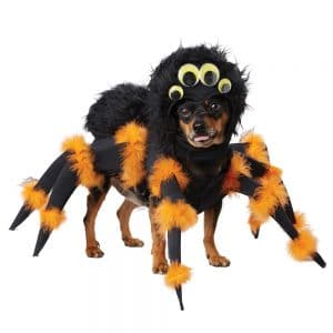 spider-pup-costume