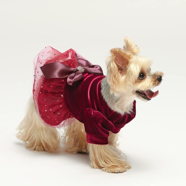 Red Velvet Dog Dress